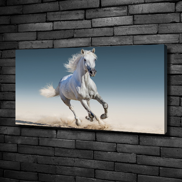 Canvas schilderij Een wit paard in galop