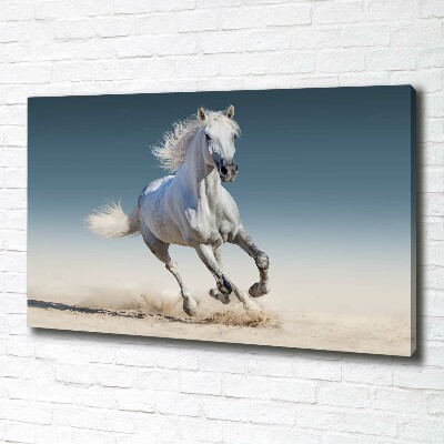 Canvas schilderij Een wit paard in galop