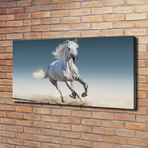 Canvas schilderij Een wit paard in galop
