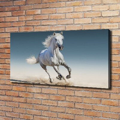 Canvas schilderij Een wit paard in galop