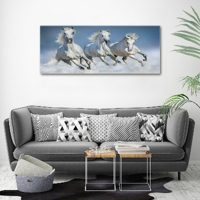 Schilderij op canvas Paarden in galop