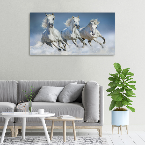 Schilderij op canvas Paarden in galop