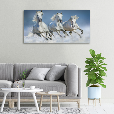 Schilderij op canvas Paarden in galop
