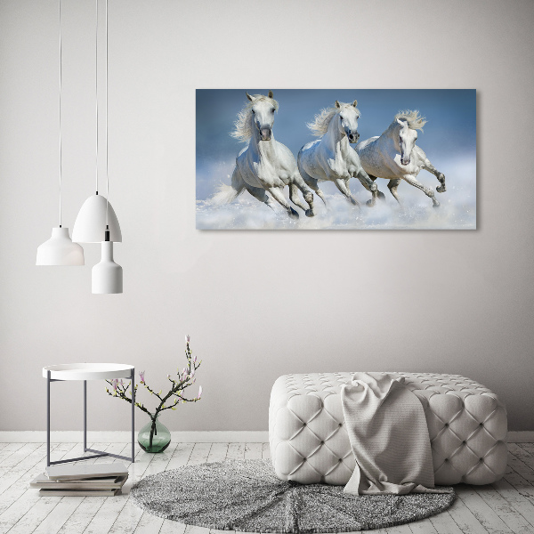 Schilderij op canvas Paarden in galop