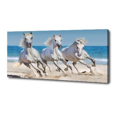 Foto canvas Witte paardenstrand