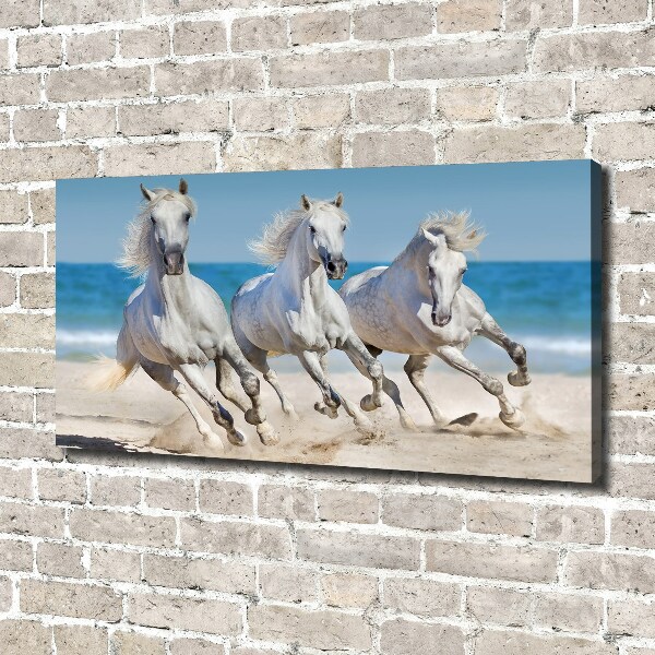 Foto canvas Witte paardenstrand
