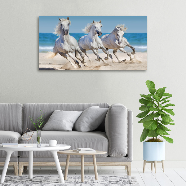 Foto canvas Witte paardenstrand