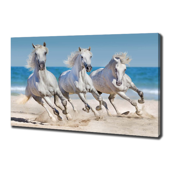 Foto canvas Witte paardenstrand