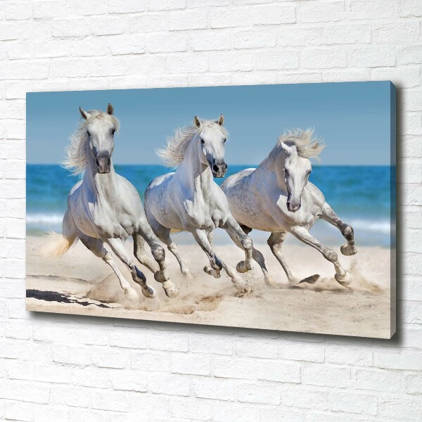 Foto canvas Witte paardenstrand