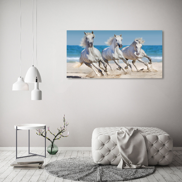 Foto canvas Witte paardenstrand
