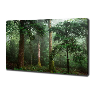 Canvas schilderij Mist in het bos