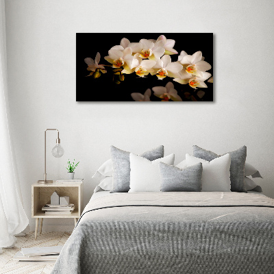 Schilderij op canvas Orchidee