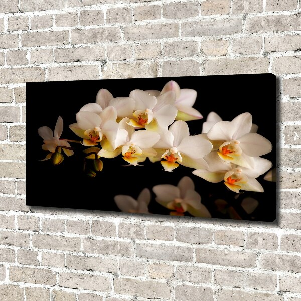Schilderij op canvas Orchidee