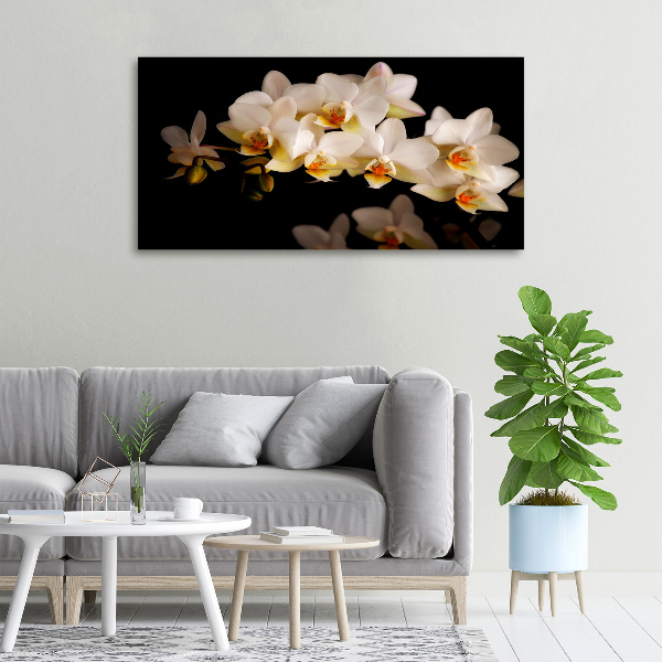 Schilderij op canvas Orchidee