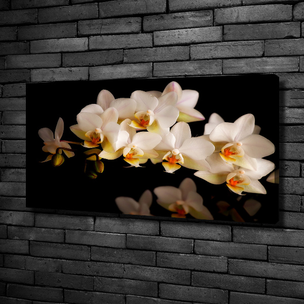 Schilderij op canvas Orchidee