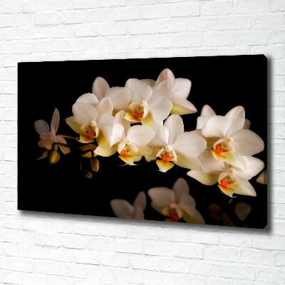 Schilderij op canvas Orchidee