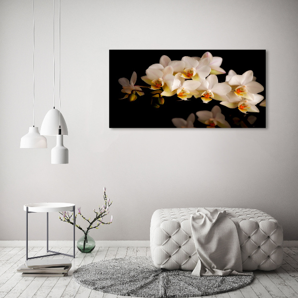 Schilderij op canvas Orchidee