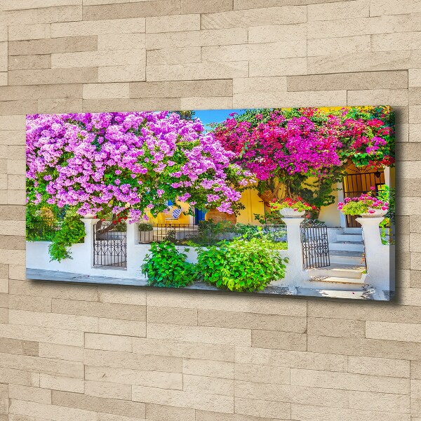 Foto canvas Huis met bougainvillea