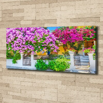 Foto canvas Huis met bougainvillea