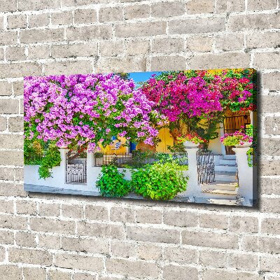 Foto canvas Huis met bougainvillea