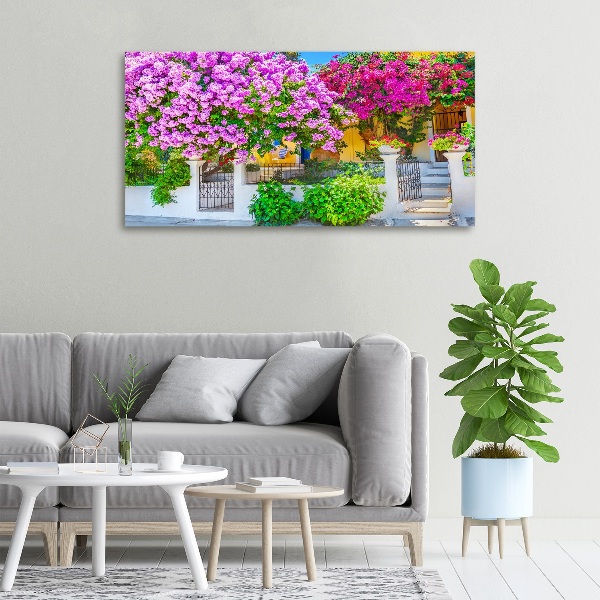 Foto canvas Huis met bougainvillea