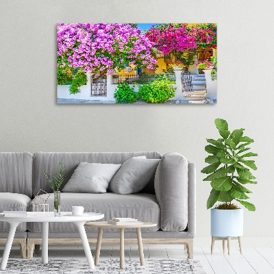 Foto canvas Huis met bougainvillea