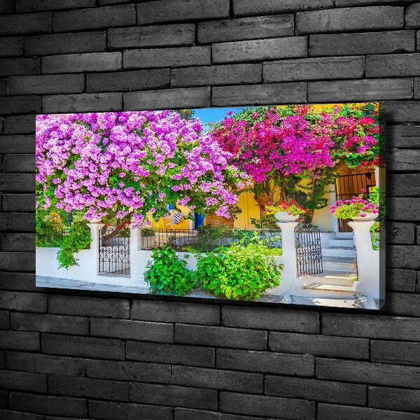 Foto canvas Huis met bougainvillea