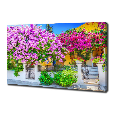 Foto canvas Huis met bougainvillea
