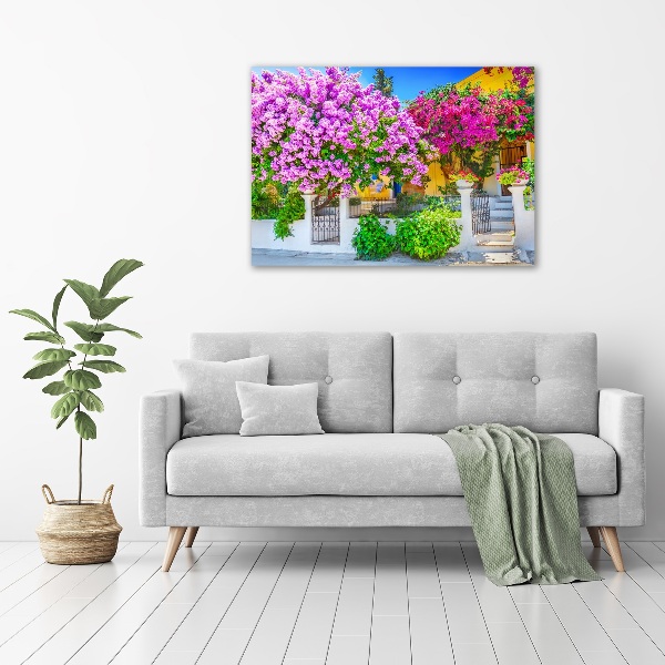 Foto canvas Huis met bougainvillea