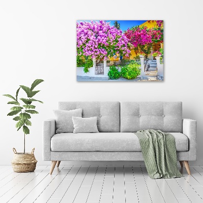 Foto canvas Huis met bougainvillea