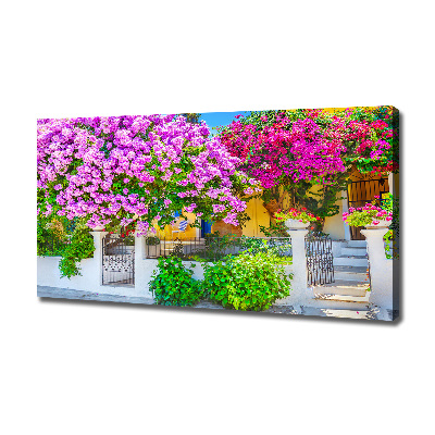 Foto canvas Huis met bougainvillea