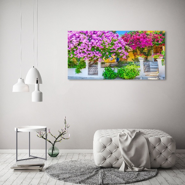Foto canvas Huis met bougainvillea