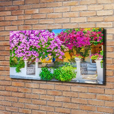 Foto canvas Huis met bougainvillea