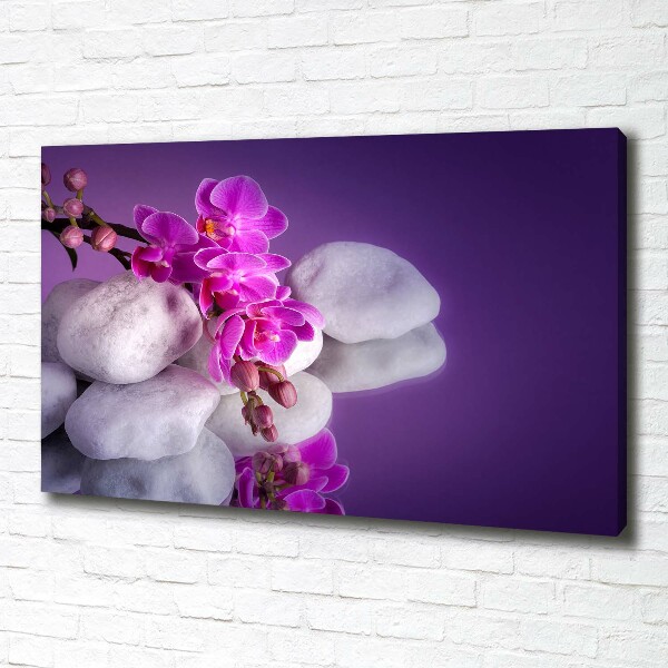 Foto op canvas Orchidee