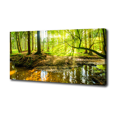 Canvas foto Een vijver in het bos
