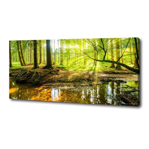 Canvas foto Een vijver in het bos