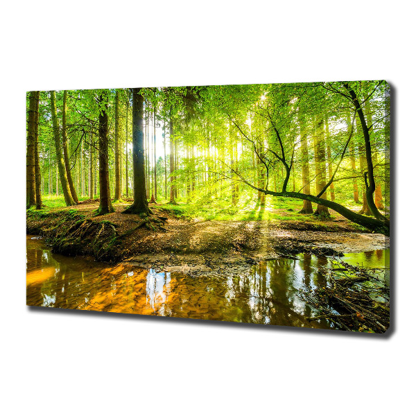 Canvas foto Een vijver in het bos