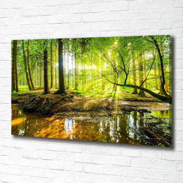 Canvas foto Een vijver in het bos