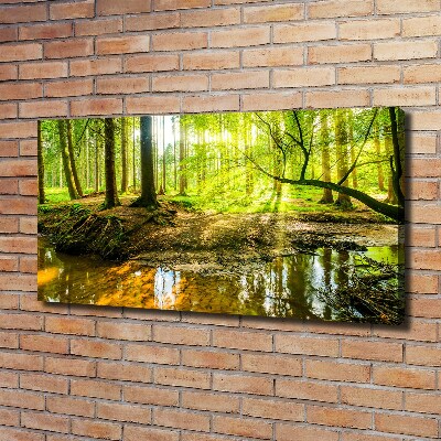 Canvas foto Een vijver in het bos