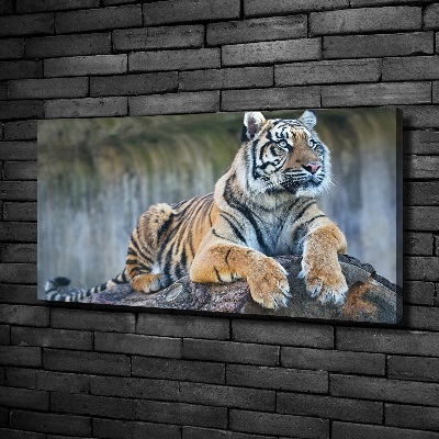 Schilderij op canvas Tijger