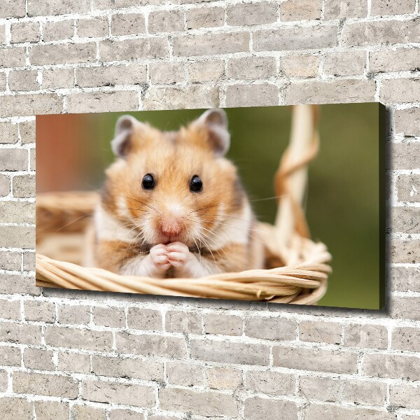 Canvas foto Hamster in een mandje