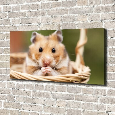 Canvas foto Hamster in een mandje
