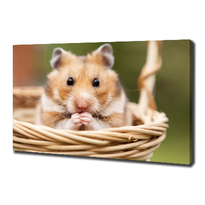Canvas foto Hamster in een mandje