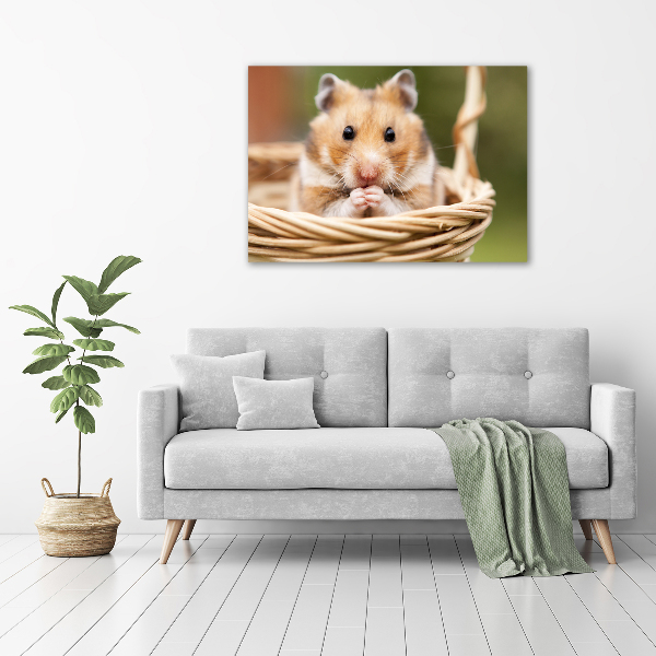 Canvas foto Hamster in een mandje