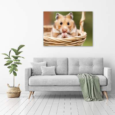 Canvas foto Hamster in een mandje