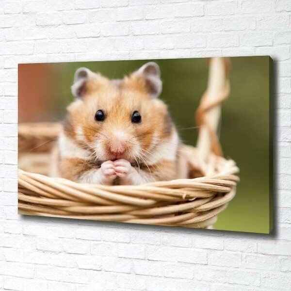 Canvas foto Hamster in een mandje