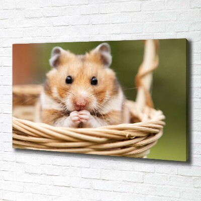 Canvas foto Hamster in een mandje