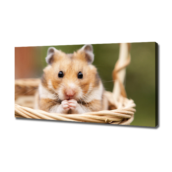 Canvas foto Hamster in een mandje