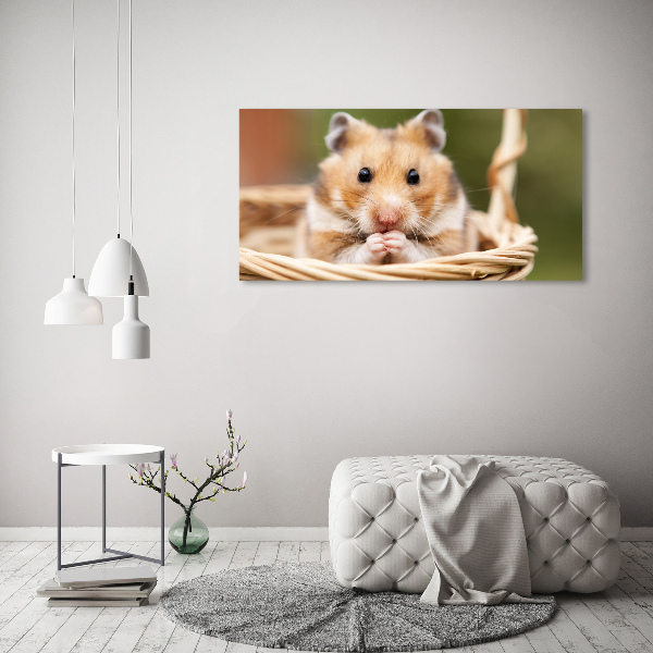 Canvas foto Hamster in een mandje
