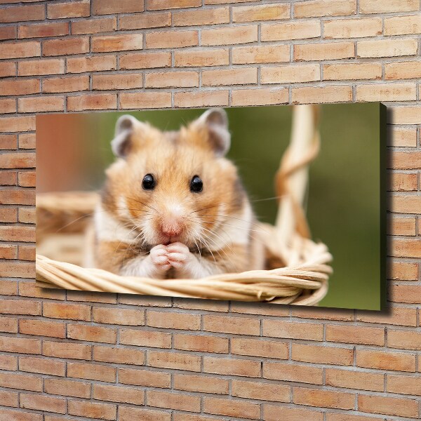 Canvas foto Hamster in een mandje